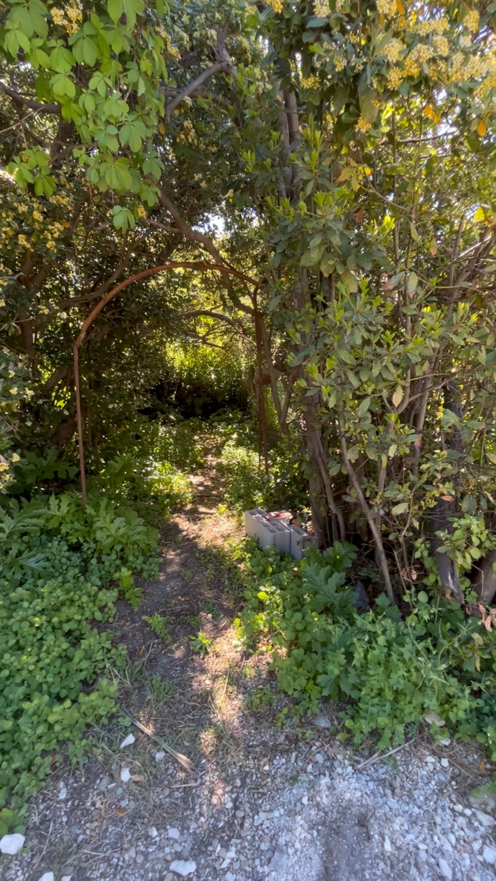 Chantier Roucas - Photo 130